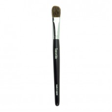 Eye Shadow Brush CQ 10