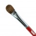 Eye Shadow Brush CQ 10SP