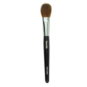 Eye Shadow Brush AQ 14