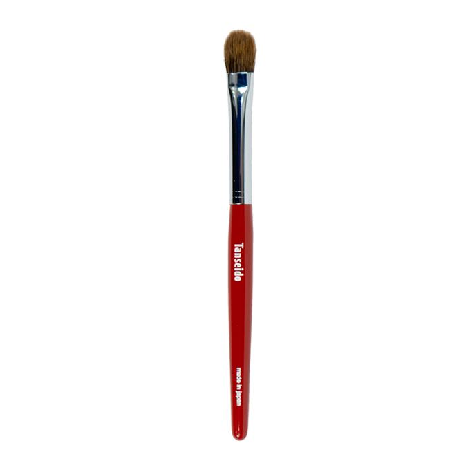 Eye Shadow Brush CQ 10SP