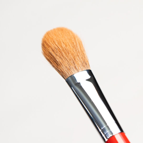 Cheek Brush CQ 17 TSP(RED ONLY) - Image 3