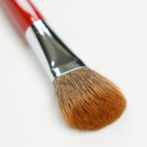 Cheek Brush CQ 20 TSP - Image 4