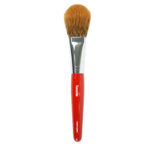 Cheek Brush CQ 20 TSP