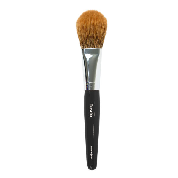 Cheek Brush CQ 20 TSP - Image 2